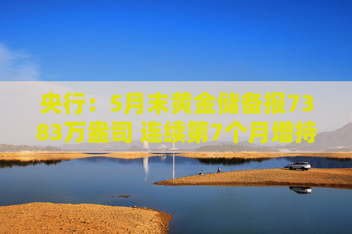 央行：5月末黄金储备报7383万盎司 连续第7个月增持黄金