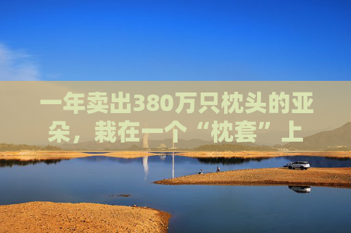 一年卖出380万只枕头的亚朵，栽在一个“枕套”上