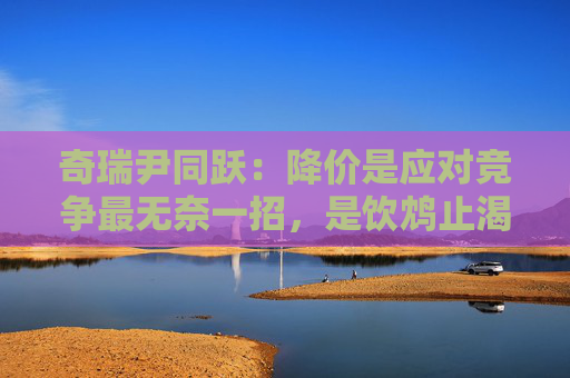 奇瑞尹同跃：降价是应对竞争最无奈一招，是饮鸩止渴