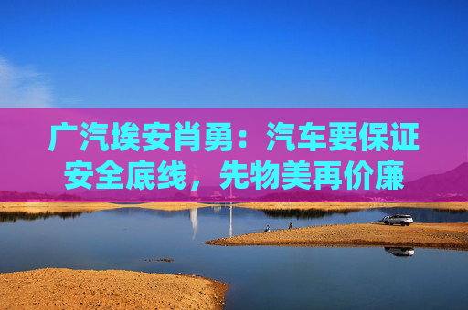 广汽埃安肖勇：汽车要保证安全底线，先物美再价廉