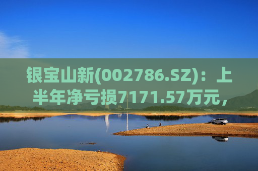 银宝山新(002786.SZ)：上半年净亏损7171.57万元，同比下降15.56%