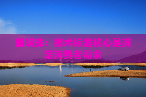 董明珠：技术标准核心是满足消费者需求