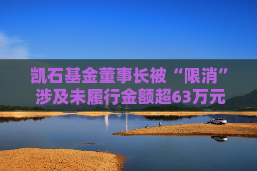 凯石基金董事长被“限消” 涉及未履行金额超63万元