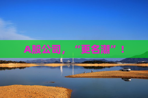 A股公司，“更名潮”！