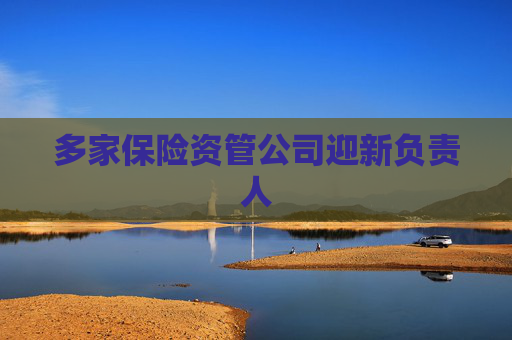 多家保险资管公司迎新负责人