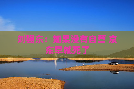 刘强东：如果没有自营 京东早就死了