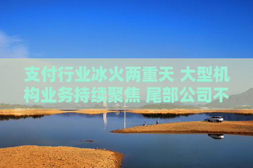 支付行业冰火两重天 大型机构业务持续聚焦 尾部公司不断出局