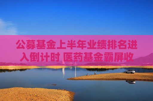 公募基金上半年业绩排名进入倒计时 医药基金霸屏收益榜