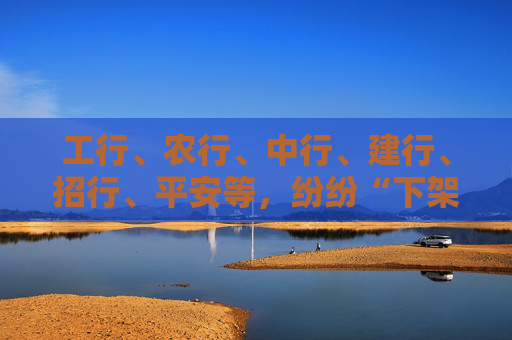 工行、农行、中行、建行、招行、平安等，纷纷“下架”这款产品