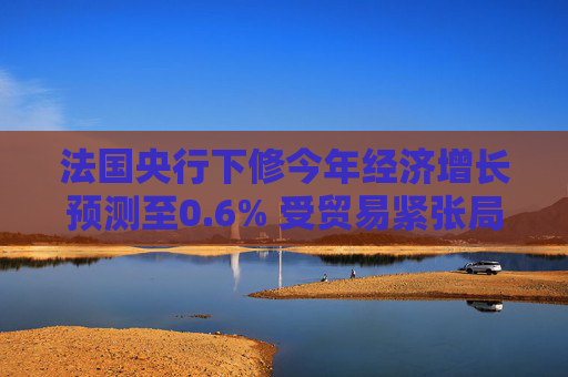法国央行下修今年经济增长预测至0.6% 受贸易紧张局势影响