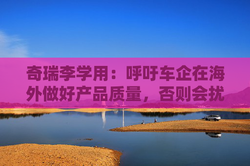 奇瑞李学用：呼吁车企在海外做好产品质量，否则会扰乱中国汽车形象