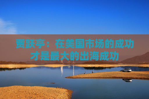 贾跃亭：在美国市场的成功才是最大的出海成功