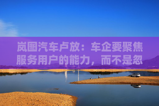 岚图汽车卢放：车企要聚焦服务用户的能力，而不是忽悠用户的能力