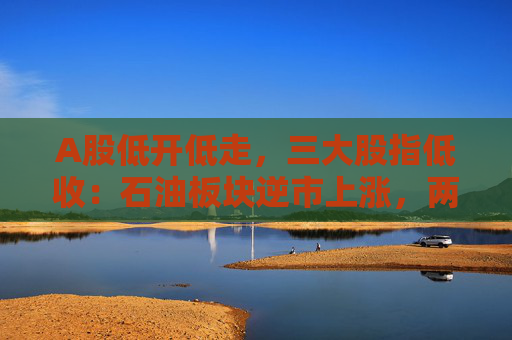 A股低开低走，三大股指低收：石油板块逆市上涨，两市成交近1.5万亿元