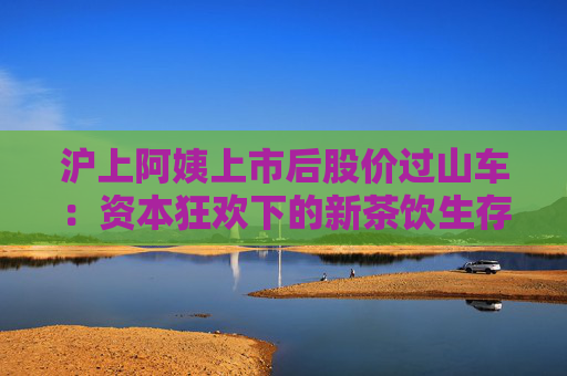 沪上阿姨上市后股价过山车：资本狂欢下的新茶饮生存样本