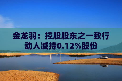 金龙羽：控股股东之一致行动人减持0.12%股份