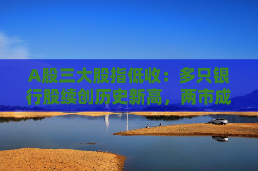 A股三大股指低收：多只银行股续创历史新高，两市成交1万亿元