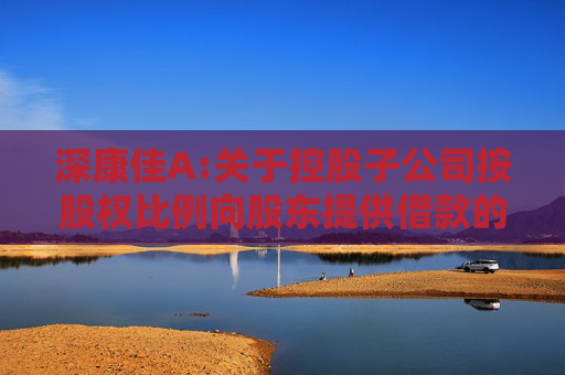 深康佳A:关于控股子公司按股权比例向股东提供借款的公告
