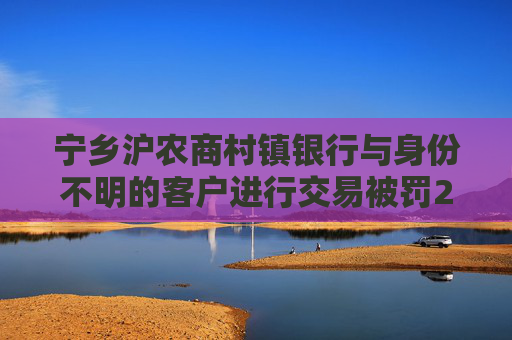 宁乡沪农商村镇银行与身份不明的客户进行交易被罚20万元