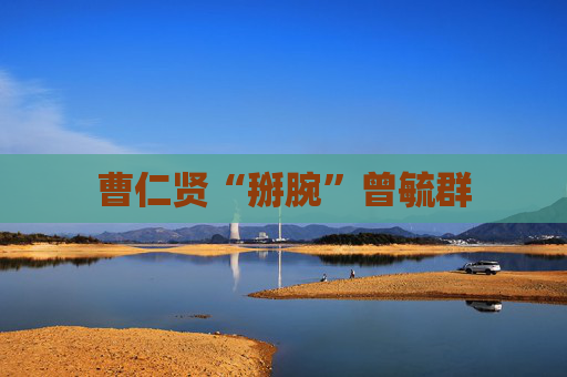 曹仁贤“掰腕”曾毓群