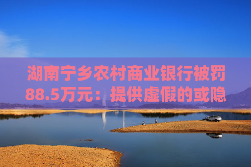 湖南宁乡农村商业银行被罚88.5万元：提供虚假的或隐瞒重要事实的统计资料等