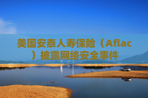 美国安泰人寿保险（Aflac）披露网络安全事件