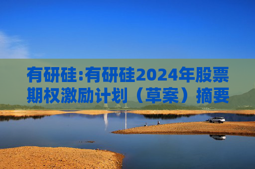 有研硅:有研硅2024年股票期权激励计划（草案）摘要公告