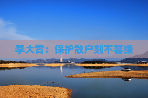 李大霄：保护散户刻不容缓