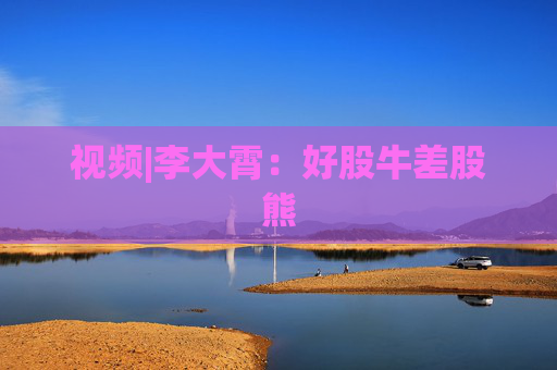 视频|李大霄：好股牛差股熊