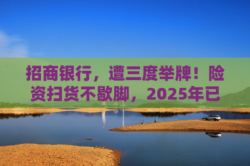 招商银行，遭三度举牌！险资扫货不歇脚，2025年已有13家上市公司被险资举牌