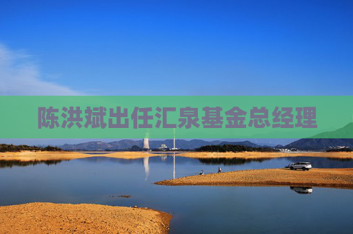 陈洪斌出任汇泉基金总经理