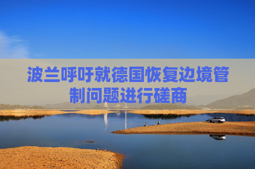 波兰呼吁就德国恢复边境管制问题进行磋商
