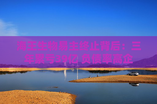 海王生物易主终止背后：三年累亏39亿 负债率高企