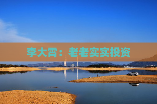 李大霄：老老实实投资