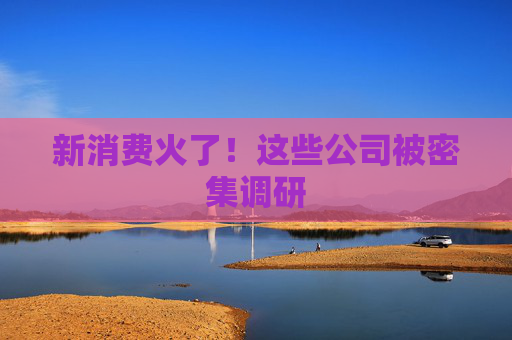 新消费火了！这些公司被密集调研