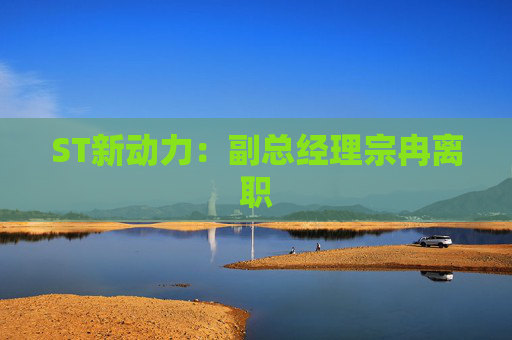 ST新动力：副总经理宗冉离职