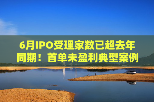 6月IPO受理家数已超去年同期！首单未盈利典型案例或本月出炉