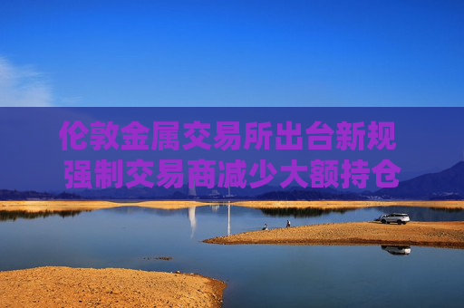 伦敦金属交易所出台新规 强制交易商减少大额持仓