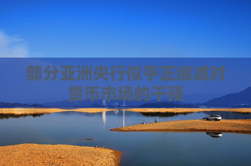 部分亚洲央行似乎正缩减对货币市场的干预