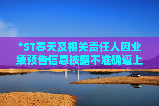 *ST春天及相关责任人因业绩预告信息披露不准确遭上交所公开谴责