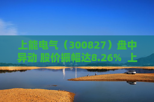 上能电气（300827）盘中异动 股价振幅达8.26%  上涨6.4%（09-11）