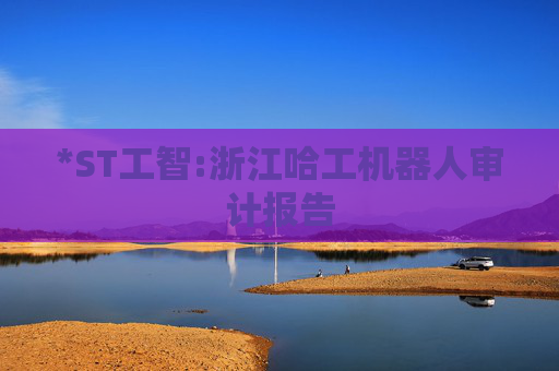 *ST工智:浙江哈工机器人审计报告