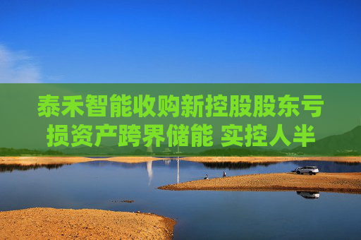 泰禾智能收购新控股股东亏损资产跨界储能 实控人半年前刚变更为阳光电源曹仁贤