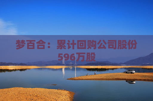 梦百合：累计回购公司股份596万股
