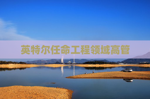 英特尔任命工程领域高管