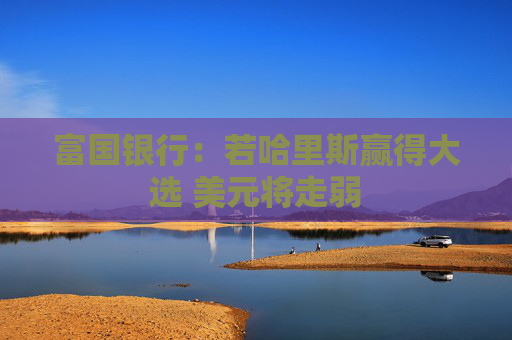 富国银行：若哈里斯赢得大选 美元将走弱