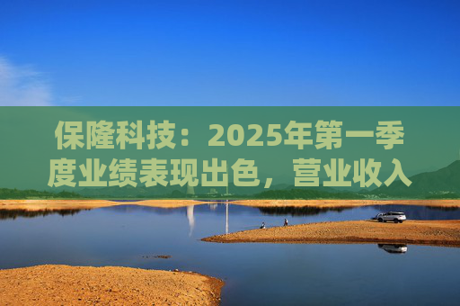 保隆科技：2025年第一季度业绩表现出色，营业收入达到19.05亿元