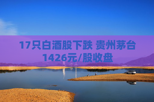 17只白酒股下跌 贵州茅台1426元/股收盘