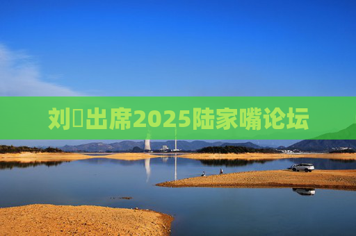 刘珺出席2025陆家嘴论坛