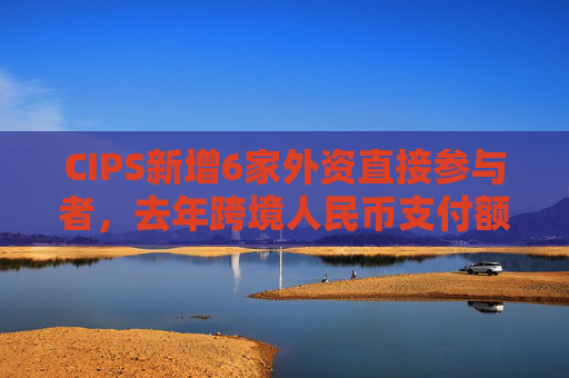 CIPS新增6家外资直接参与者，去年跨境人民币支付额同比增43%